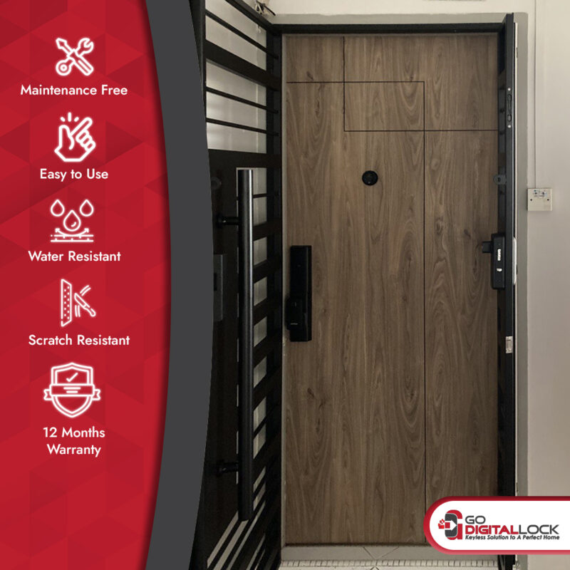 Solid Laminate Main Door with Groove Line formica 6401NT