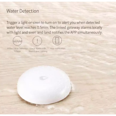 Water Detection